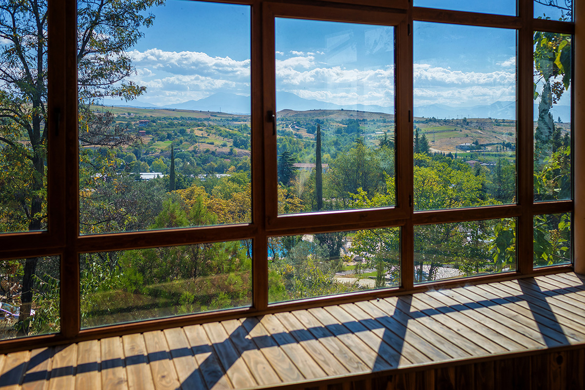 view